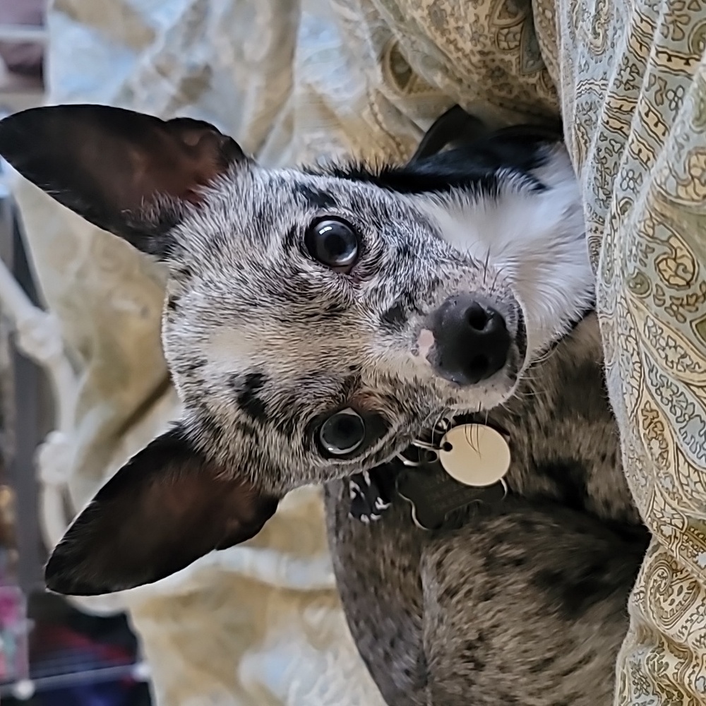 Meet your Posher, Kimberly